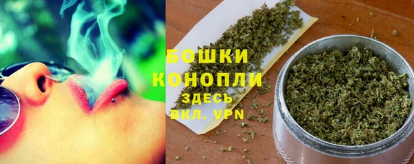 твердый Болотное
