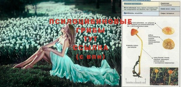mdma Билибино