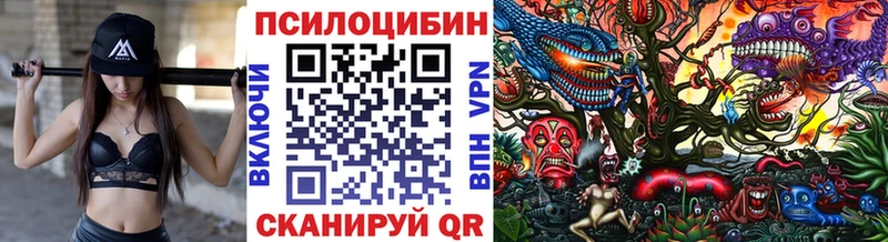 MEGA сайт  Дятьково  Псилоцибиновые грибы MAGIC MUSHROOMS 