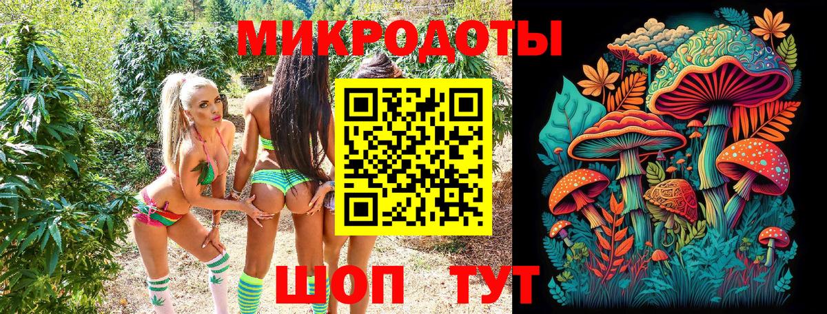 Псилоцибиновые грибы Magic Shrooms  купить закладку  Дятьково 