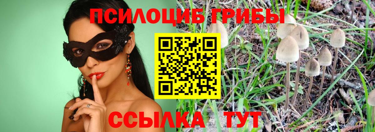 даркнет сайт  Вход с VPN  Дятьково  Псилоцибиновые грибы GOLDEN TEACHER 